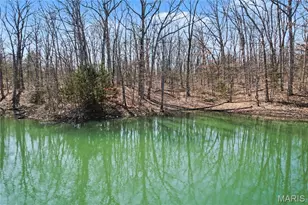 20 Dumont Ct, Foristell, MO 63348 - Photo 23