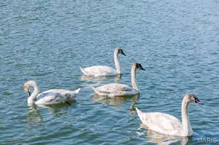 1541 Lake Shore Dr, Robertsville, MO 65066 - Photo 9