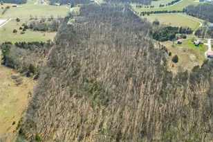 2255 County Farm Rd, Wright City, MO 63390 - Photo 91