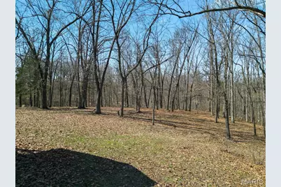 2255 County Farm Road, Wright City, MO 63390 - Photo 83