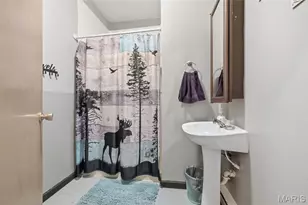 284 White Rd, Montgomery City, MO 63361 - Photo 15