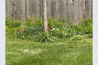 729 Luckystone Avenue, Saint Louis, MO 63122 - Photo 7