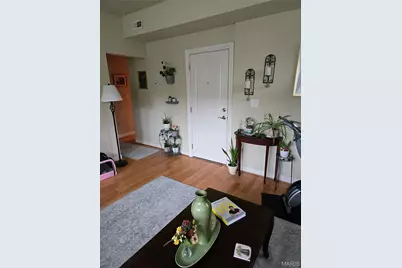 5528 Waterman Boulevard #1N, Saint Louis, MO 63112 - Photo 11