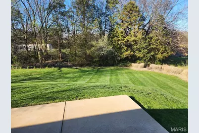 379 Martin Field Court, Villa Ridge, MO 63089 - Photo 37