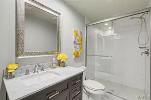 207 Irish Hound Dr, O'Fallon, MO 63368 - Photo 45