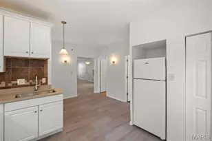 3850 De Tonty St, Saint Louis, MO 63110 - Photo 47