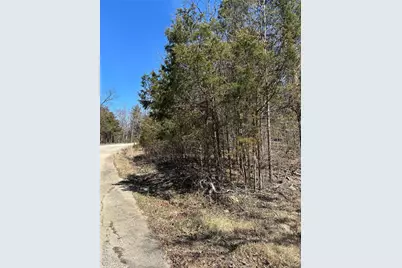 0 Rue Angeline, Bonne Terre, MO 63648 - Photo 3