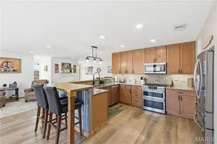 835 Monday Ln, Williamsville, MO 63967 - Photo 37