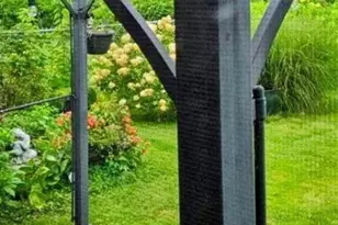 6929 Dartmouth Ave, University City, MO 63130 - Photo 49