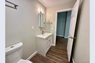 3142 Winnebago Street, Saint Louis, MO 63118 - Photo 23
