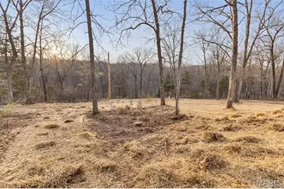 9738 Flo Drive, Bonne Terre, MO 63628 - Photo 5