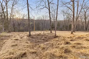 9738 Flo Dr, Bonne Terre, MO 63628 - Photo 5