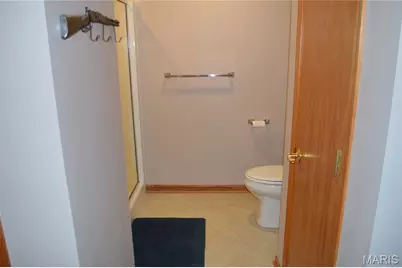 222 Scanland Farm Road, Montgomery City, MO 63361 - Photo 33