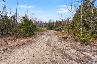 000 Herky Horine Road, Pevely, MO 63070 - Photo 29