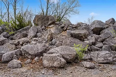 000 Herky Horine Road, Pevely, MO 63070 - Photo 25