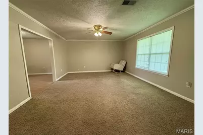 17504 Rigdon Street, Kennett, MO 63857 - Photo 9