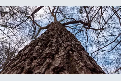 000 Flucom Road E, De Soto, MO 63020 - Photo 35