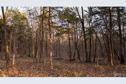 000 Flucom Road E, De Soto, MO 63020 - Photo 21