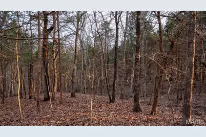 000 Flucom Road E, De Soto, MO 63020 - Photo 25