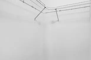 3405 Sherman Park Dr, Saint Charles, MO 63303 - Photo 19