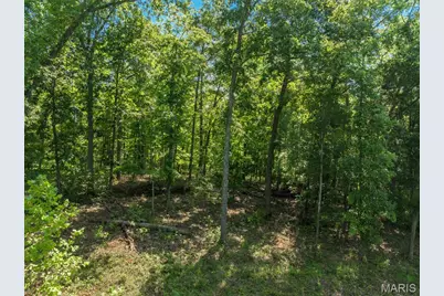 2545 Alpine Woods Drive, Innsbrook, MO 63390 - Photo 7