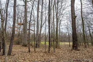 120 Willow Ln, Eolia, MO 63344 - Photo 45