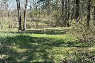 1068 State Hwy 47, Unincorporated, MO 63628 - Photo 9