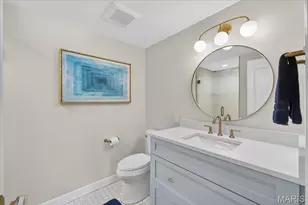 10 Vouga Ln, Saint Louis, MO 63131 - Photo 19