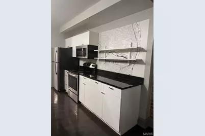 4336 McRee Avenue, Saint Louis, MO 63110 - Photo 5