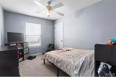 1113 Huber Street, Festus, MO 63028 - Photo 9