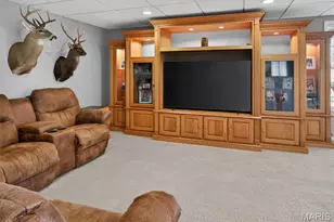 111 Paul Dow Rd, Oak Ridge, MO 63769 - Photo 29