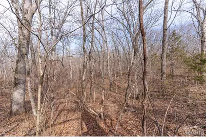 000 Grob Road, Gerald, MO 63037 - Photo 23