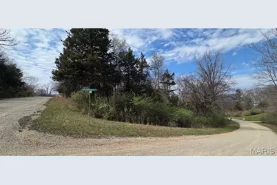 0 Rue De La Paix, Bonne Terre, MO 63628 - Photo 3