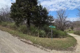 0 Rue De La Paix, Bonne Terre, MO 63628 - Photo 1