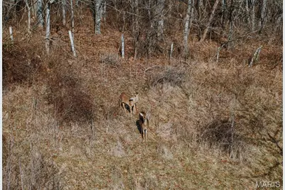 000 County Road 404, Tract 3, Washington, MO 63638 - Photo 23