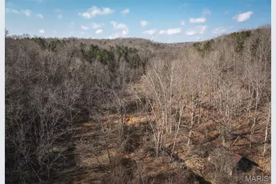 000 County Road 404, Tract 4, Washington, MO 63638 - Photo 7