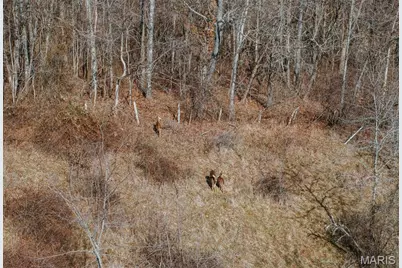 000 County Road 404, Tract 4, Washington, MO 63638 - Photo 15