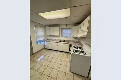 3871 Alberta Street, Saint Louis, MO 63116 - Photo 17