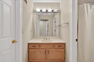 14033 Woods Mill Cove Dr, Chesterfield, MO 63017 - Photo 47