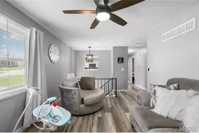 706 Bogy Street, De Soto, MO 63020 - Photo 9