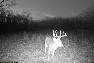 10095 Short Rd, Fletcher, MO 63030 - Photo 19