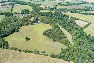 1310 Tillman Rd, Farmington, MO 63640 - Photo 9