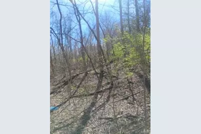 0 E Sunrise Lakes Drive, De Soto, MO 63020 - Photo 11