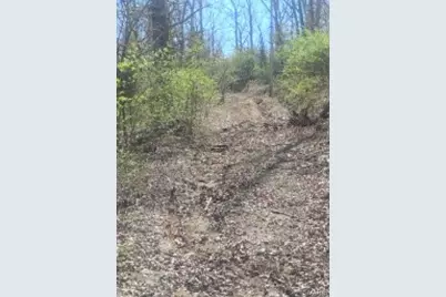 0 E Sunrise Lakes Drive, De Soto, MO 63020 - Photo 3