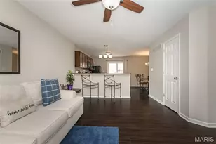 208 Candice Way, Saint Peters, MO 63376 - Photo 7