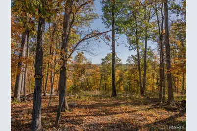 2824 Morgan Lake Drive, Innsbrook, MO 63390 - Photo 1