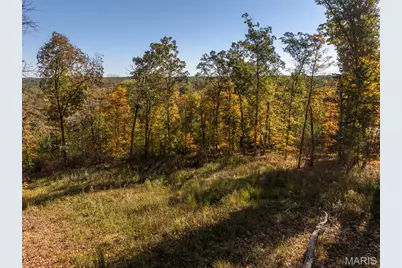 2824 Morgan Lake Drive, Innsbrook, MO 63390 - Photo 5