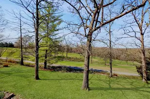 9463 Easy St, Hillsboro, MO 63050 - Photo 55