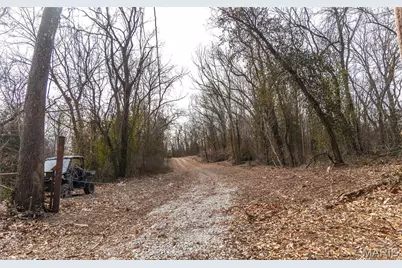 2 Mill Street, Potosi, MO 63664 - Photo 15