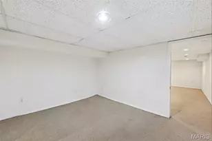 6924 Bancroft Ave, Saint Louis, MO 63109 - Photo 43